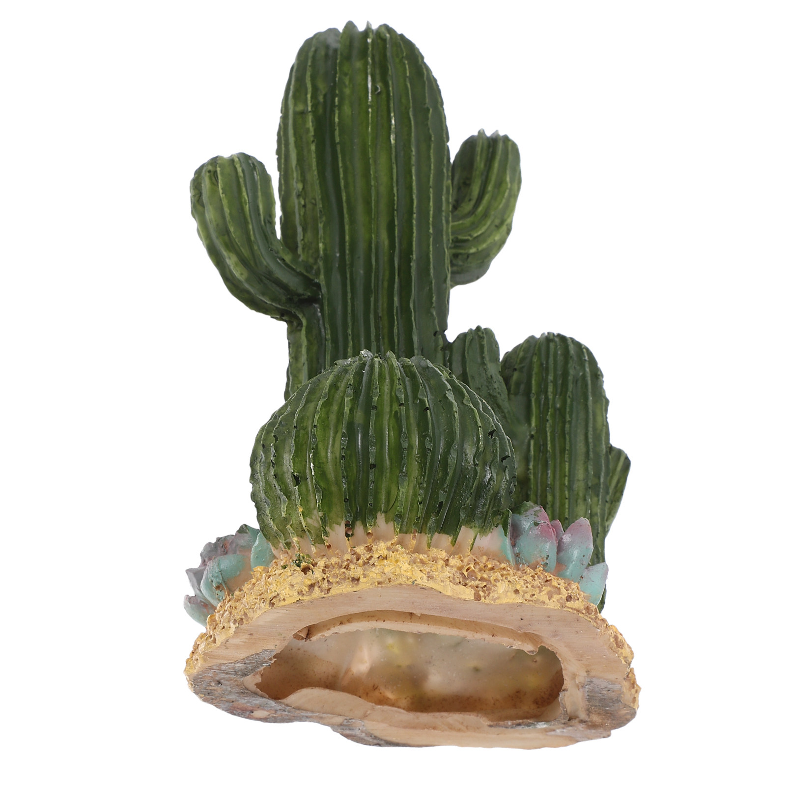 Terrarium Moss Art - Artificial Cactus Plant Large Succulent Desert
