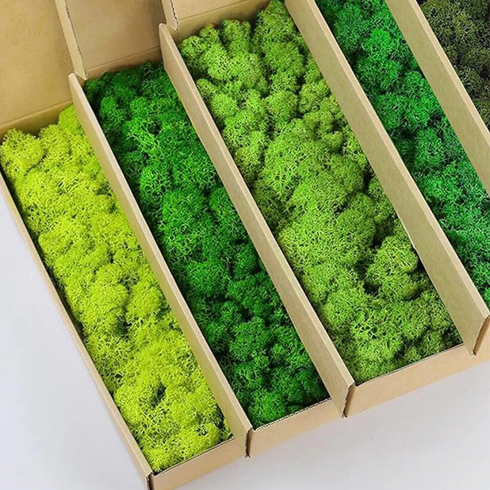 20-200g Artificial Green Plant - Terrarium Moss Art 评论和价格