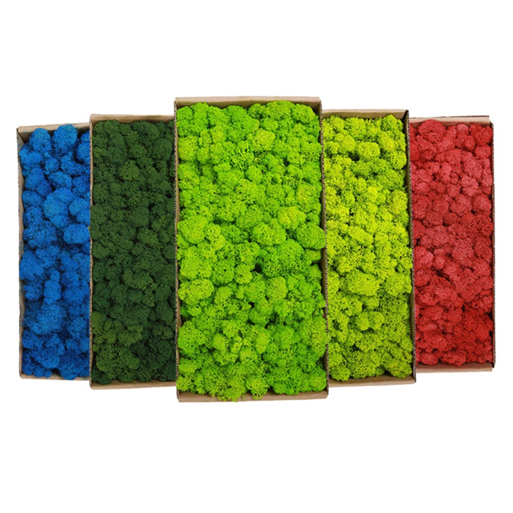 20-200g Artificial Green Plant - Terrarium Moss Art 评论和价格