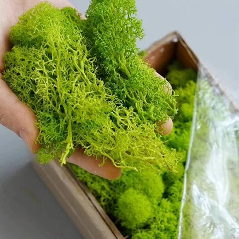 20-200g Artificial Green Plant - Terrarium Moss Art 评论和价格