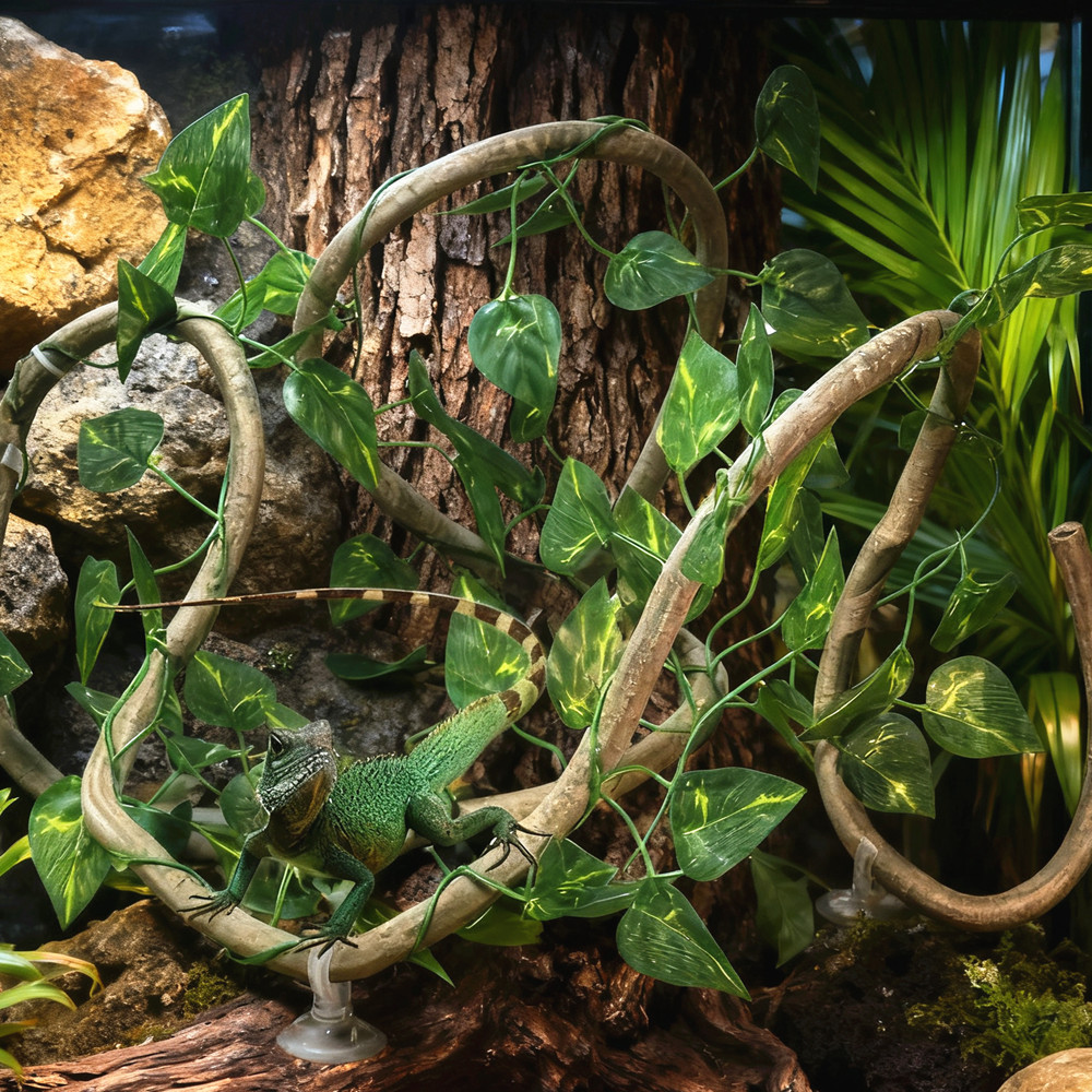 For Lizards Terrarium Tank Pet - Terrarium Moss Art 评论和价格