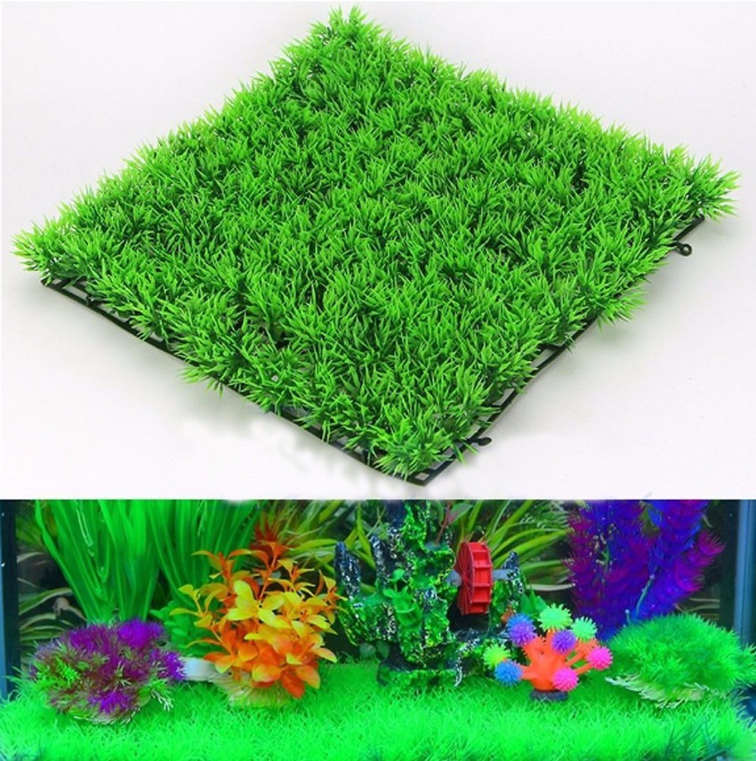 Artificial Green Grass Plant L - Terrarium Moss Art 评论和价格