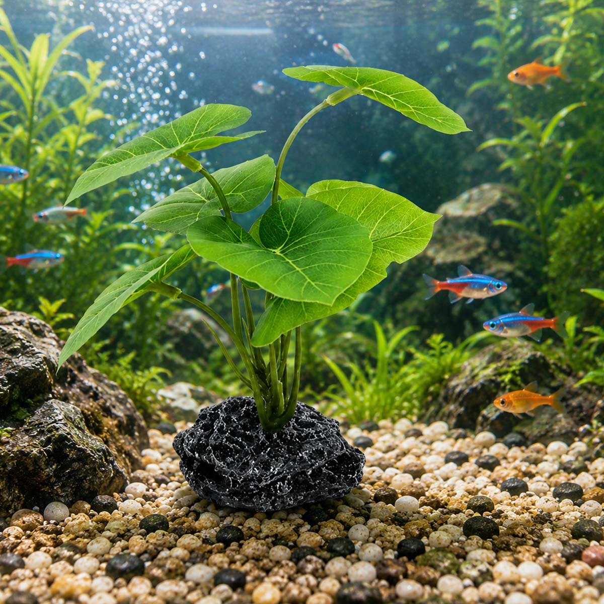 1pc Aquarium Simulation Plant  - Terrarium Moss Art 评论和价格