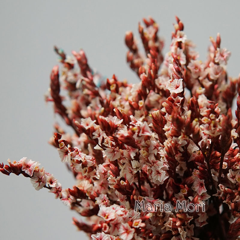 5g/ Colorful Dired Preserved C - Flower Preservation Resin 评论和价格