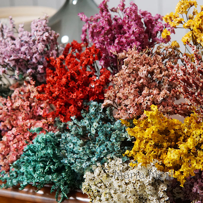5g/ Colorful Dired Preserved C - Flower Preservation Resin 评论和价格