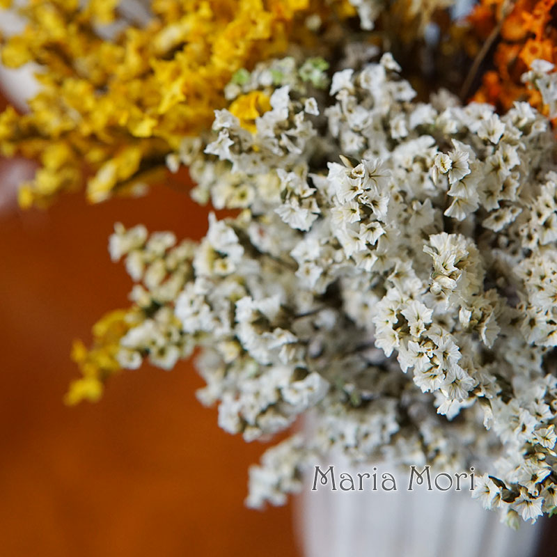 5g/ Colorful Dired Preserved C - Flower Preservation Resin 评论和价格