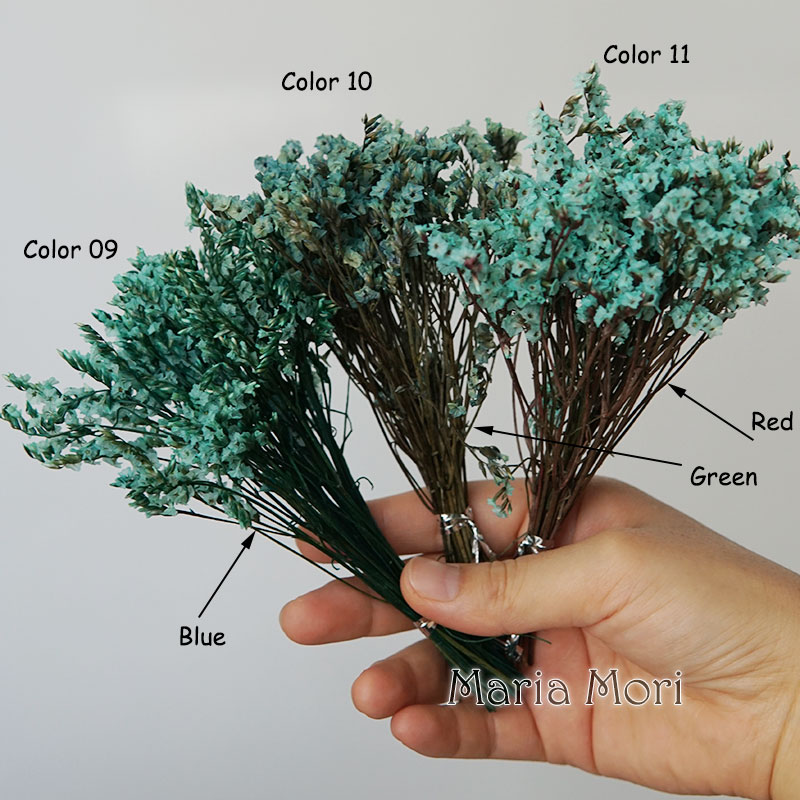 5g/ Colorful Dired Preserved C - Flower Preservation Resin 评论和价格