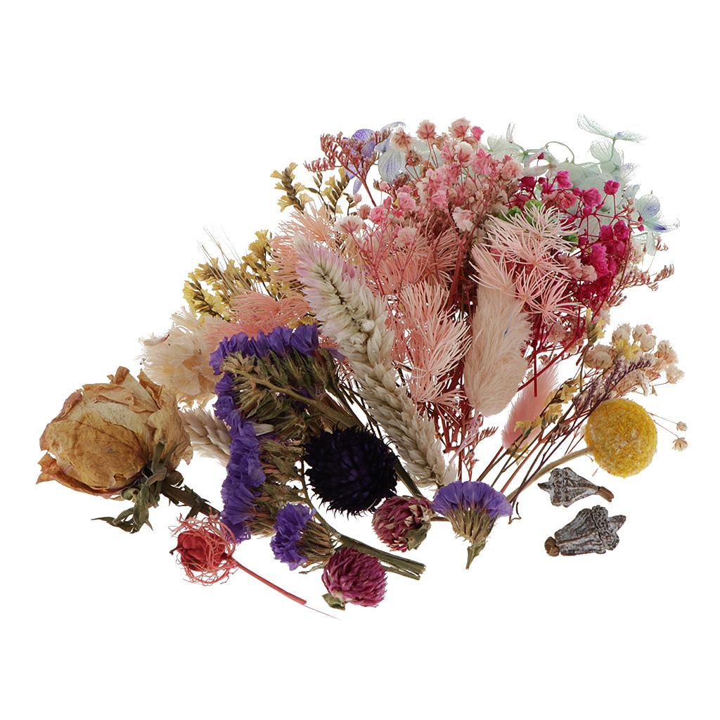 Preserved Dried Natural Flower - Flower Preservation Resin 评论和价格