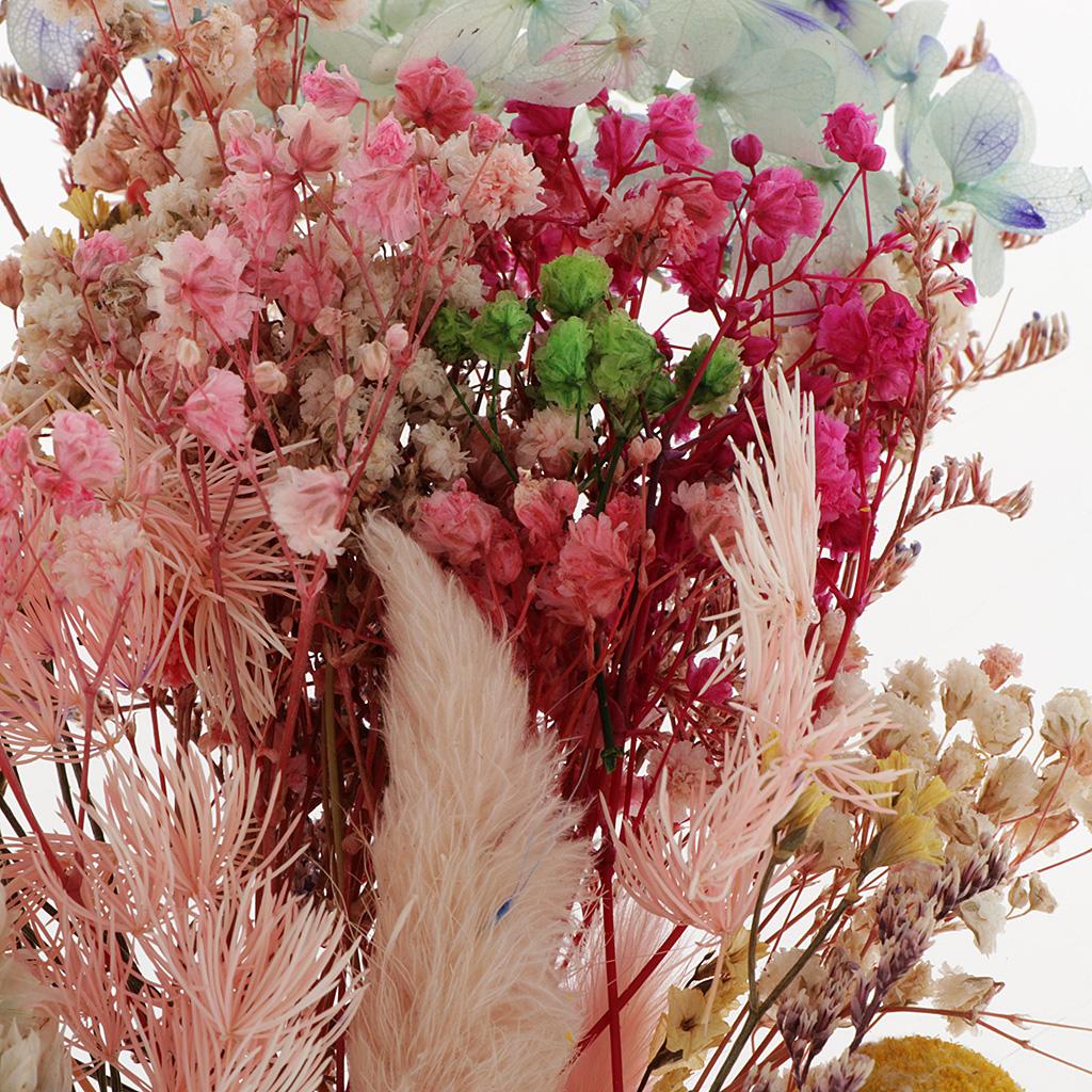 Preserved Dried Natural Flower - Flower Preservation Resin 评论和价格