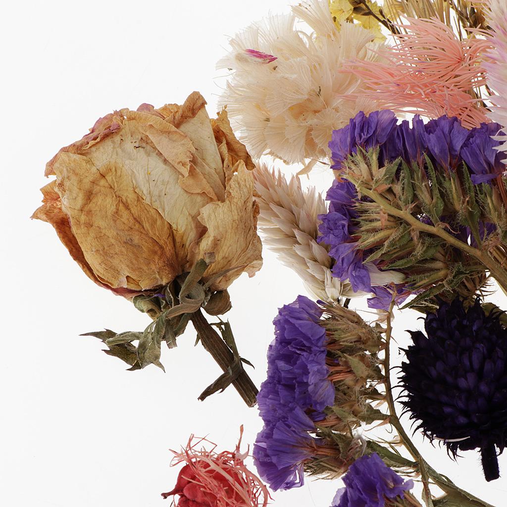 Preserved Dried Natural Flower - Flower Preservation Resin 评论和价格