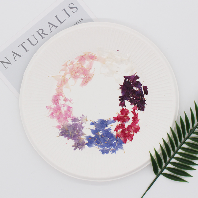 20 Plant Specimens, Cornflower - Resin Jewelry Kit 评论和价格
