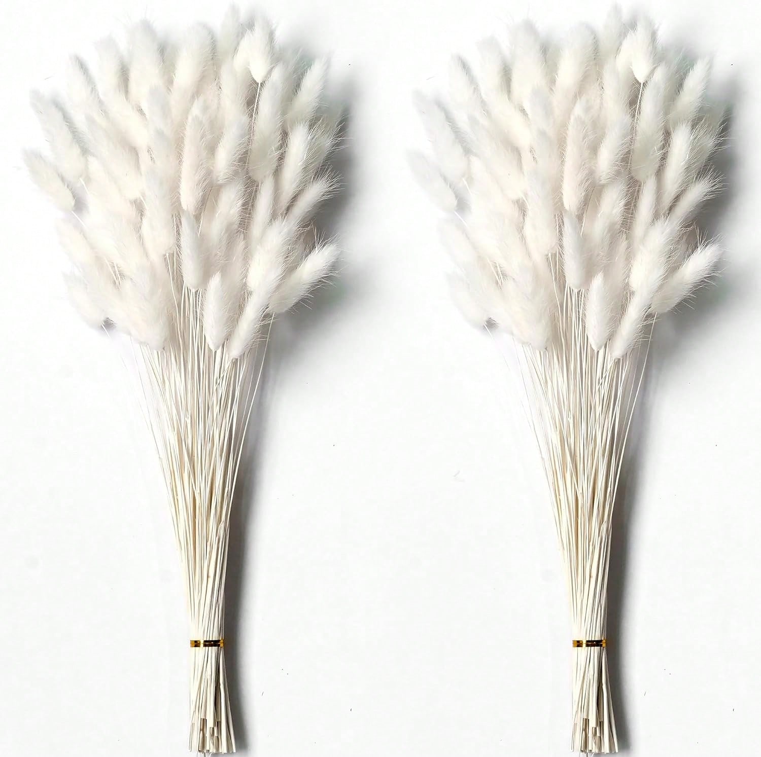 120 PCS Dried Pampas Grass Dec - Dried Flower Bulk 评论和价格