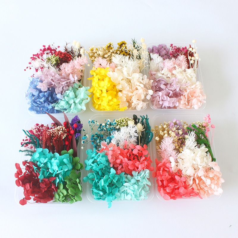 Preserved Flower DIY Kit Seaso - Flower Preservation Resin 评论和价格