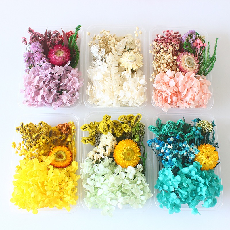 Preserved Flower DIY Kit Seaso - Flower Preservation Resin 评论和价格