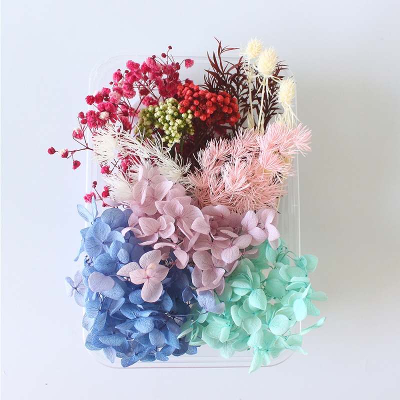 Preserved Flower DIY Kit Seaso - Flower Preservation Resin 评论和价格