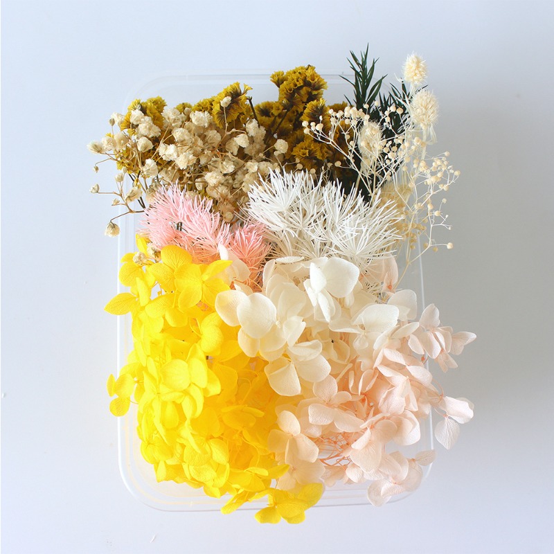 Preserved Flower DIY Kit Seaso - Flower Preservation Resin 评论和价格