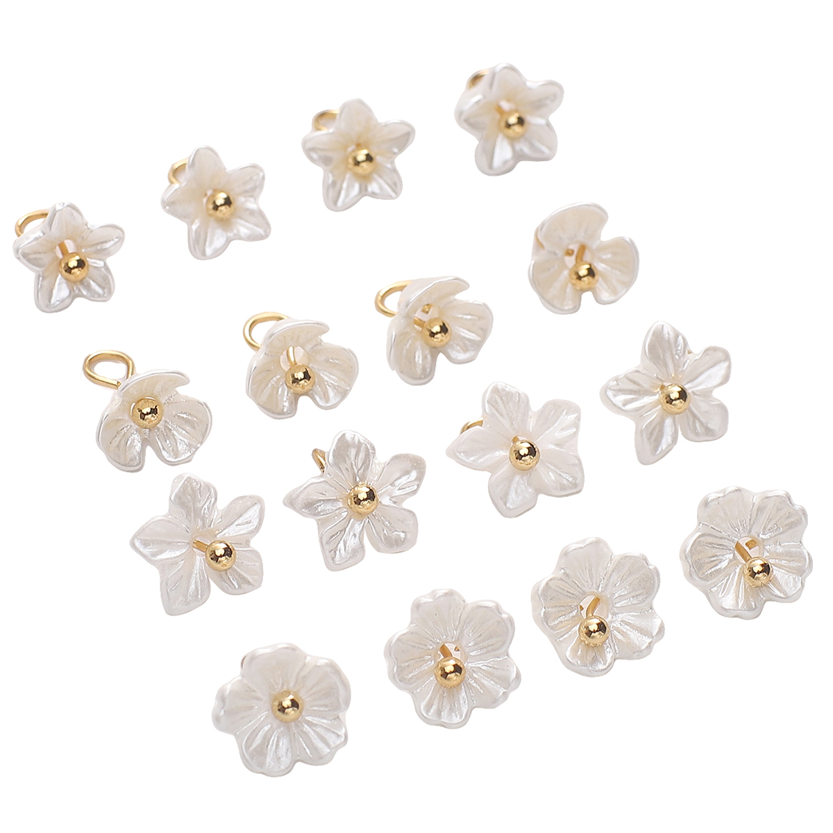 5pcs White Mini Small Flowers  - Flower Preservation Resin 评论和价格