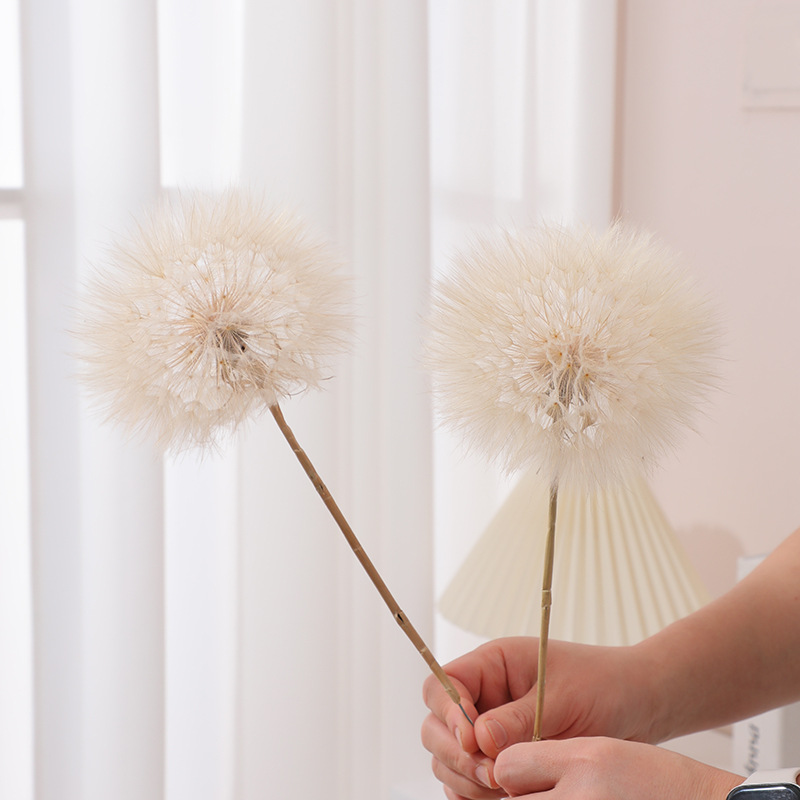 Preserved Dandelion DIY Epoxy  - Resin Crafts 评论和价格