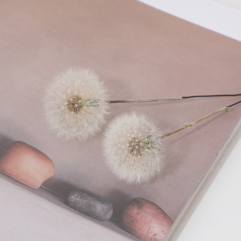 Preserved Dandelion DIY Epoxy  - Resin Crafts 评论和价格