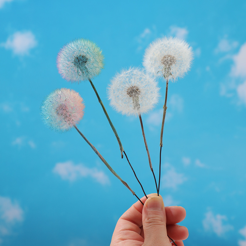 Preserved Dandelion DIY Epoxy  - Resin Crafts 评论和价格