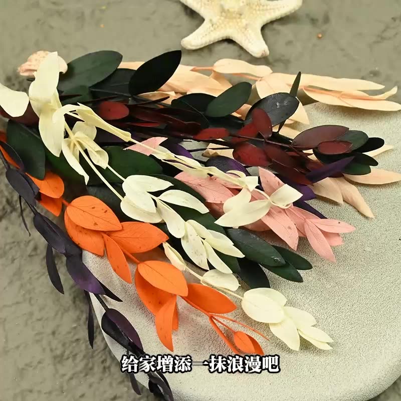 Dried  Flower Preserved Flower - Flower Preservation Resin 评论和价格