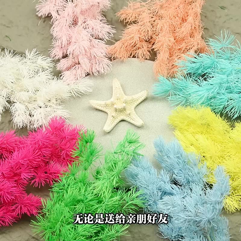 Dried  Flower Preserved Flower - Flower Preservation Resin 评论和价格