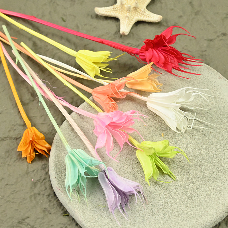 Dried  Flower Preserved Flower - Flower Preservation Resin 评论和价格