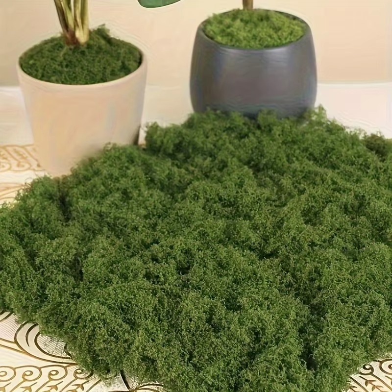 50g Green Fake Moss DIY Crafts - Terrarium Moss Art 评论和价格