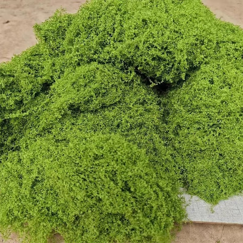 50g Green Fake Moss DIY Crafts - Terrarium Moss Art 评论和价格