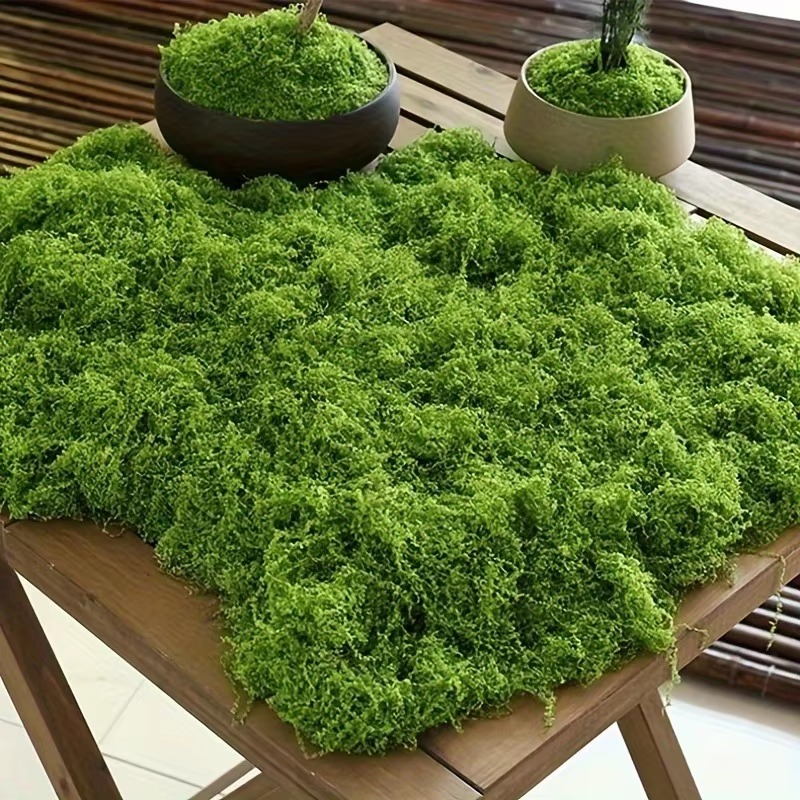 50g Green Fake Moss DIY Crafts - Terrarium Moss Art 评论和价格