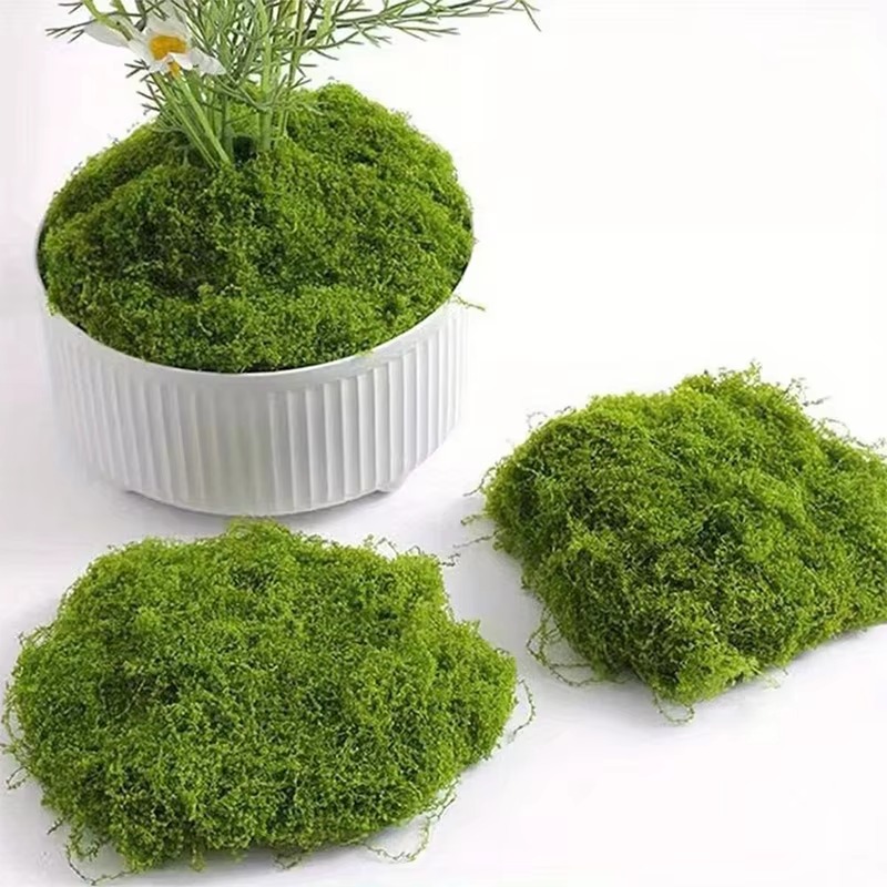 50g Green Fake Moss DIY Crafts - Terrarium Moss Art 评论和价格