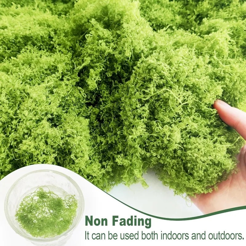 Artificial Green Plants Eterna - Terrarium Moss Art 评论和价格