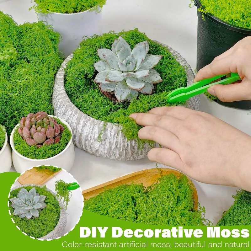 Artificial Green Plants Eterna - Terrarium Moss Art 评论和价格